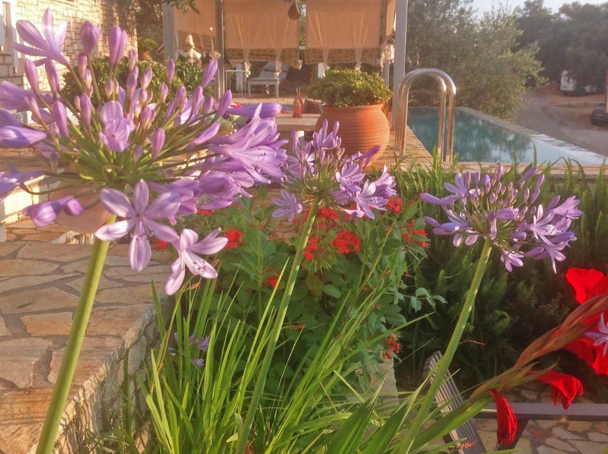 Opera House Paxos Hotell Gaios Eksteriør bilde